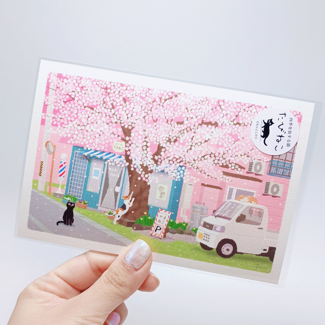 Tabineko Sakura Postcard (in town)