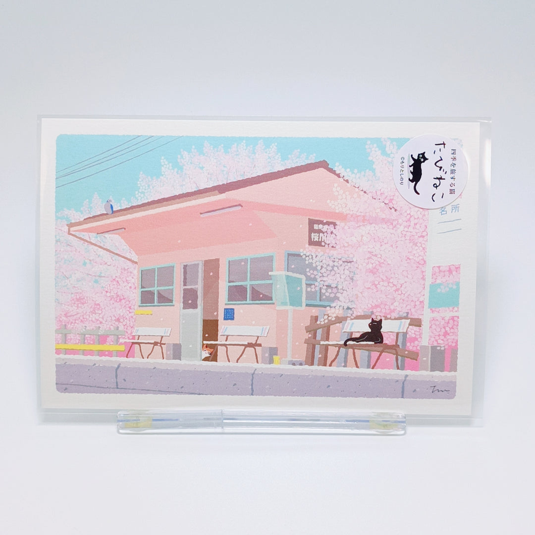 Tabineko Sakura Postcard (bench)