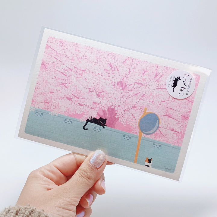 Tabineko Sakura Postcard (on the wall)