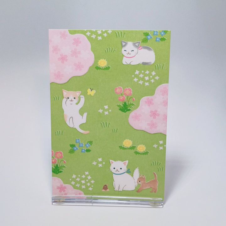 Spring Flower Cat Postcard