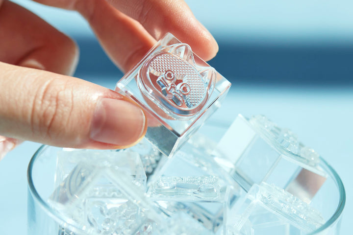 [Pre-order] Kori Jirushi Ice Cube Stamp Set HITOTOKI / KINGJIM