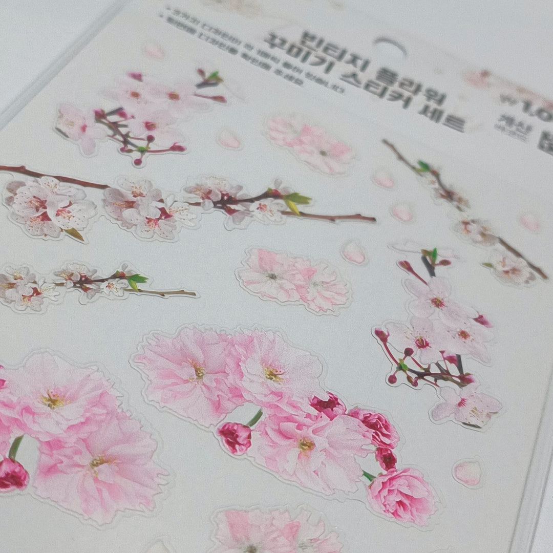 [Korean Sticker] Cherry Blossoms (3 designs)