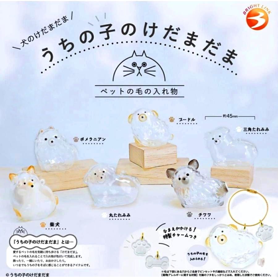 My Pet&