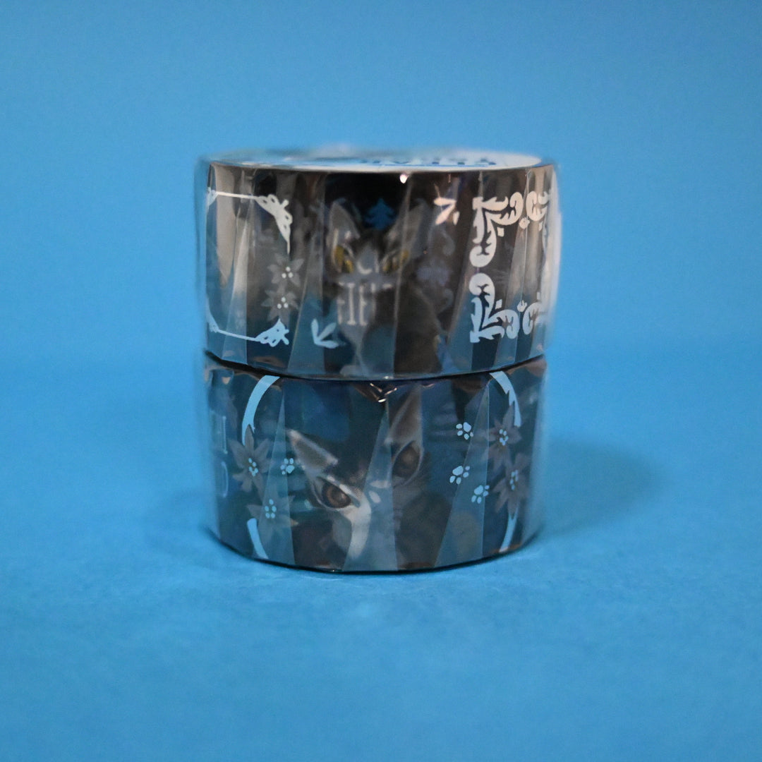 Wachifield Cats and Raccoons Blue Clear Masking Tape