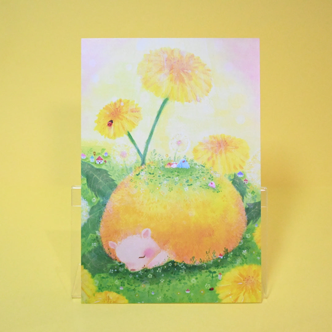 Illustrated Animals Post Cards 15 Designs Set