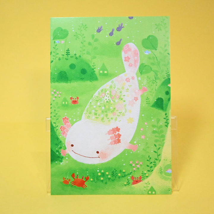 Illustrated Animals Post Cards 15 Designs Set