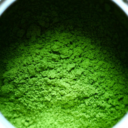 [Pre-order] Premium Uji Matcha Myouju Powder Can (40 g)