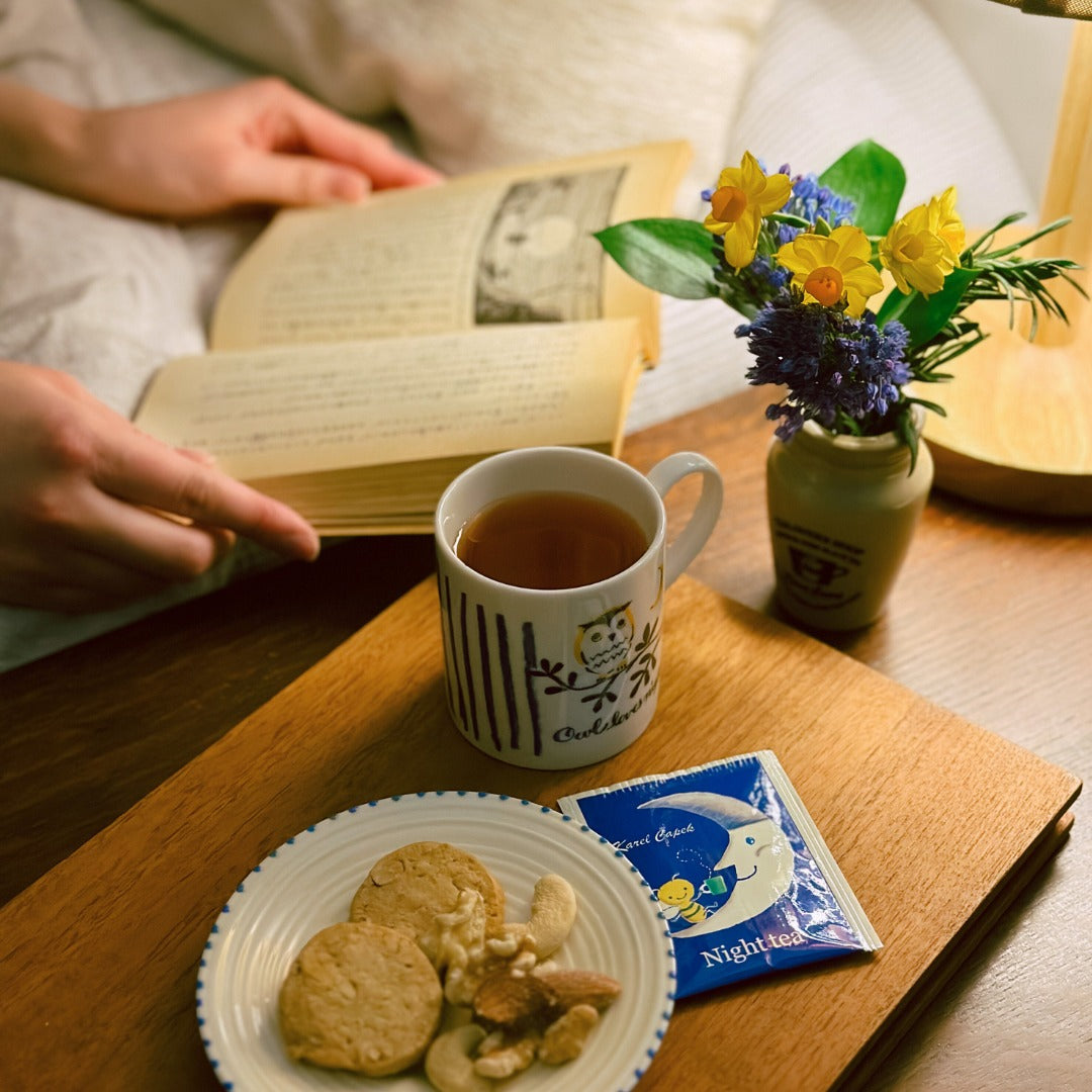 Karel Capek Tea Just Enjoy Today Tin Can (14 pcs.)