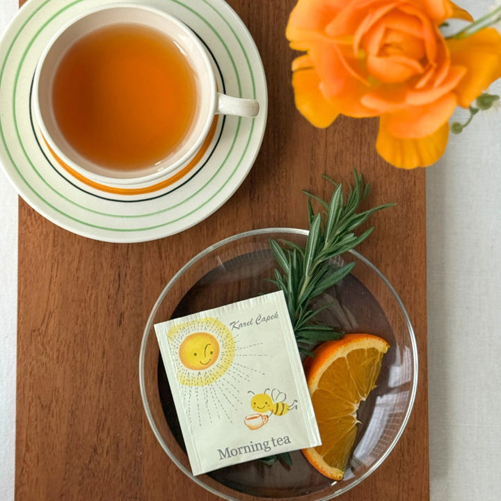 Karel Capek Tea Just Enjoy Today Tin Can (14 pcs.)