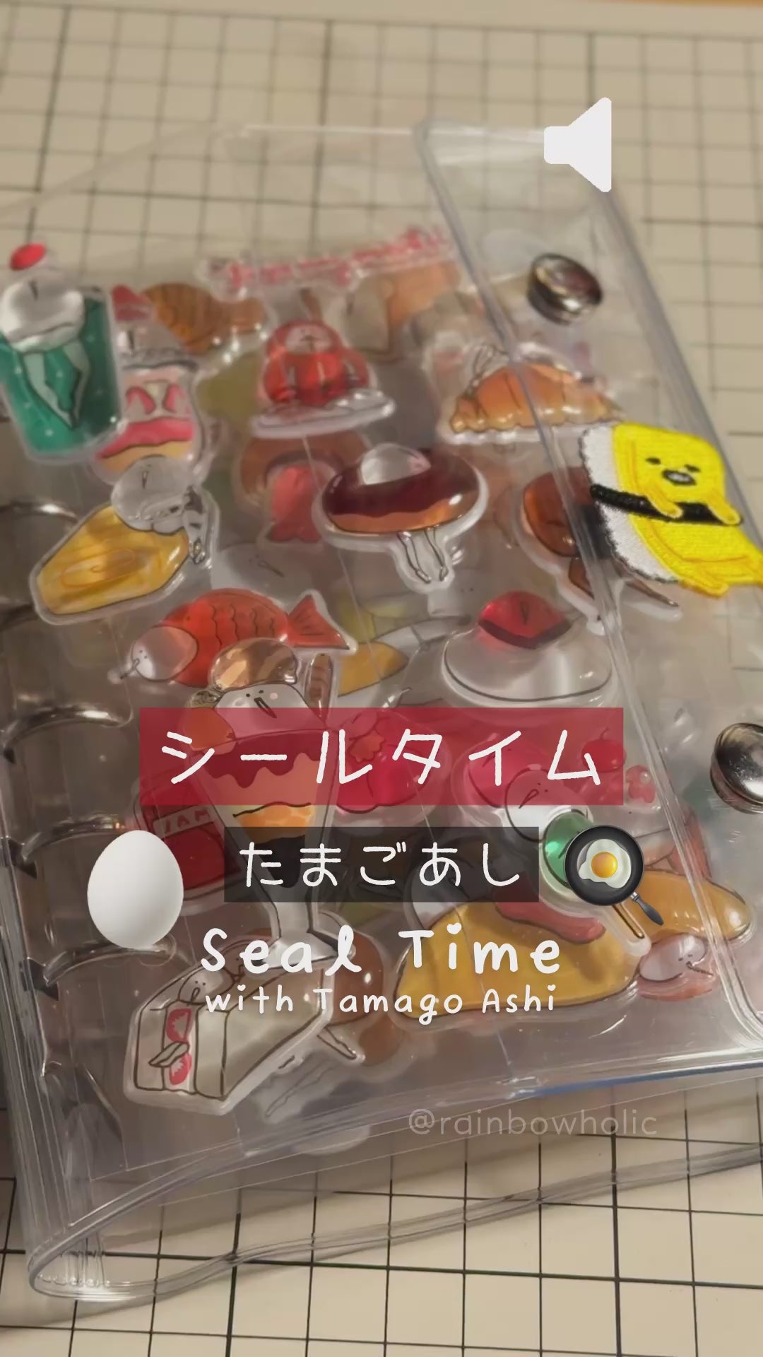 Double Snap Button Clear Binder for 3D Stickers