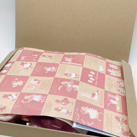 [Limited Stocks] Kawaii Care Package: Stationery, Karel Capek Pouch, Tea, & Coffee